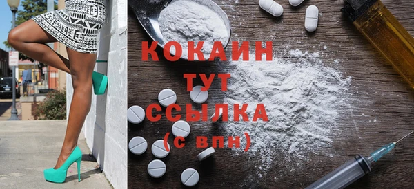 стаф Алексин