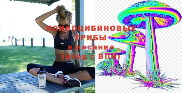 СК Абаза