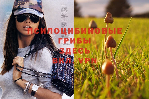 МДПВ Абдулино