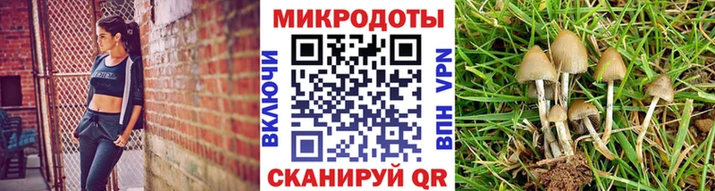 Галлюциногенные грибы GOLDEN TEACHER  Отрадная 